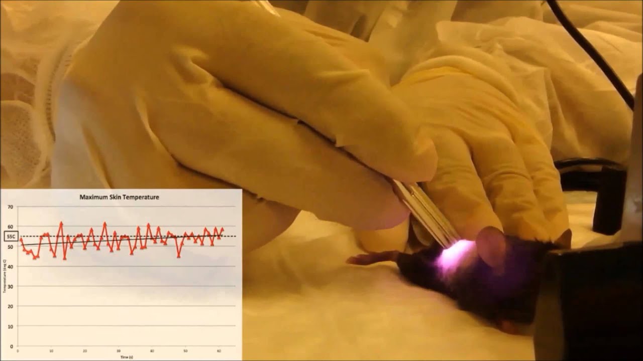 Molecular pathway of near-infrared laser phototoxicity involves ATF-4 orchestrated ER stress