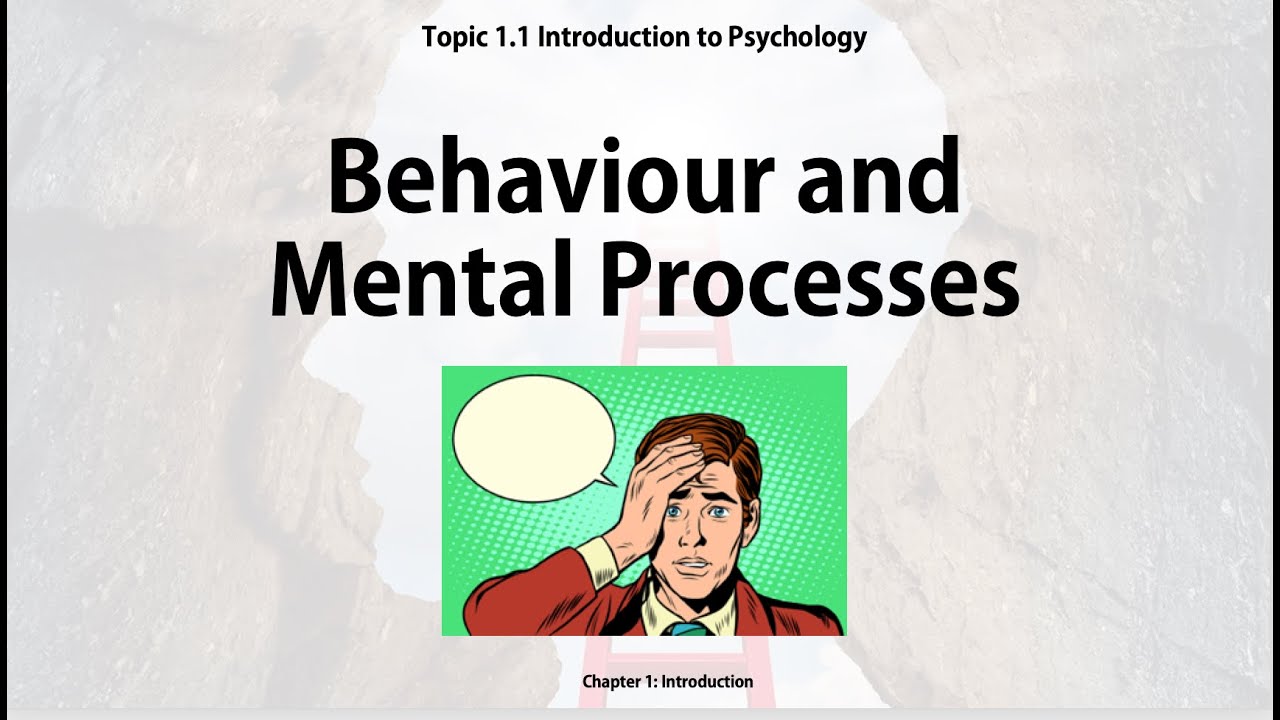 Lesson 1.1a Summary - IB Psych Introduction (Chapter 1) - TSP