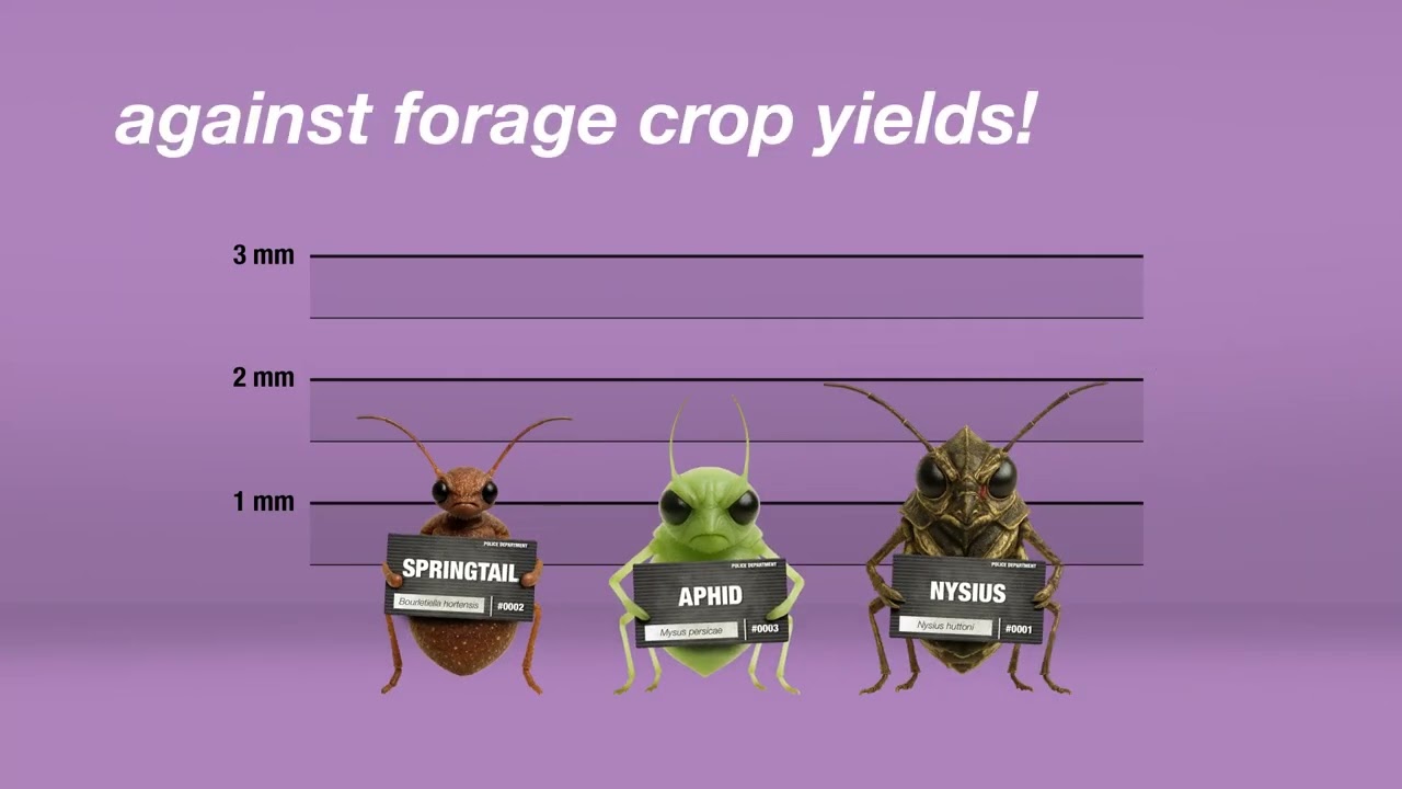 End the damage from these three vile vermin... | Crop Science NZ