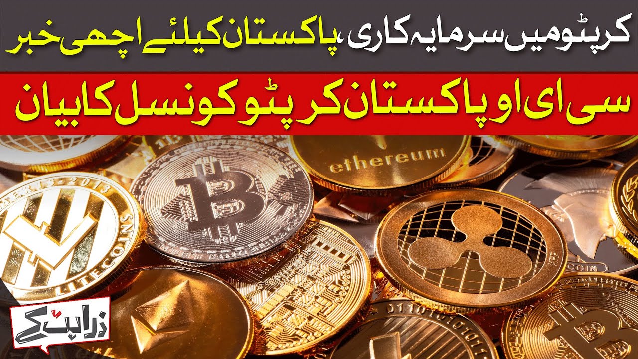 How Pakistan Can Benefit From Cryptocurrency Investments? | Zara Hat Kay | Dawn News