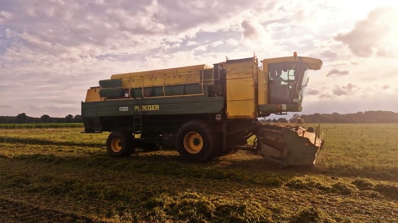 3 mal Ploeger EPD Erbsen Drescher aus Holland Ernte 2025 #farming #landwirtschaft #agriculture #nl