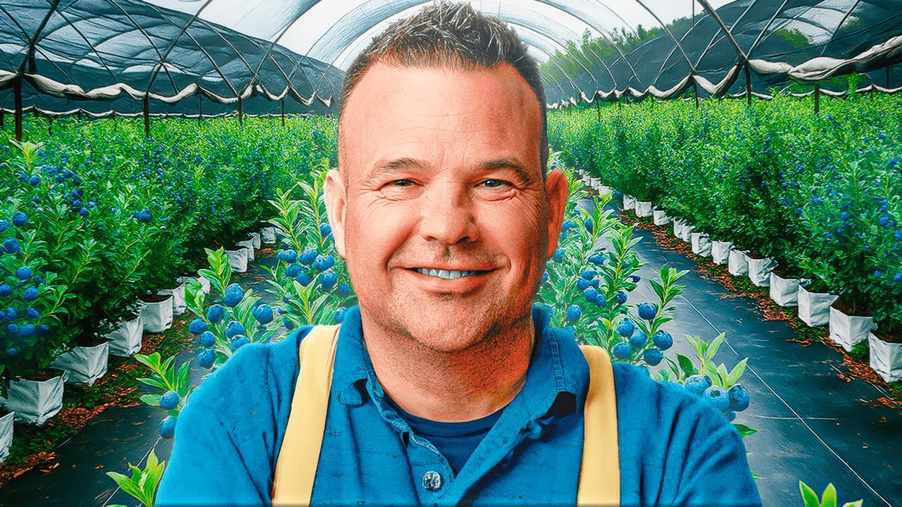 Así Es El Nuevo Negocio Agricultor de Éxito (Arándanos)