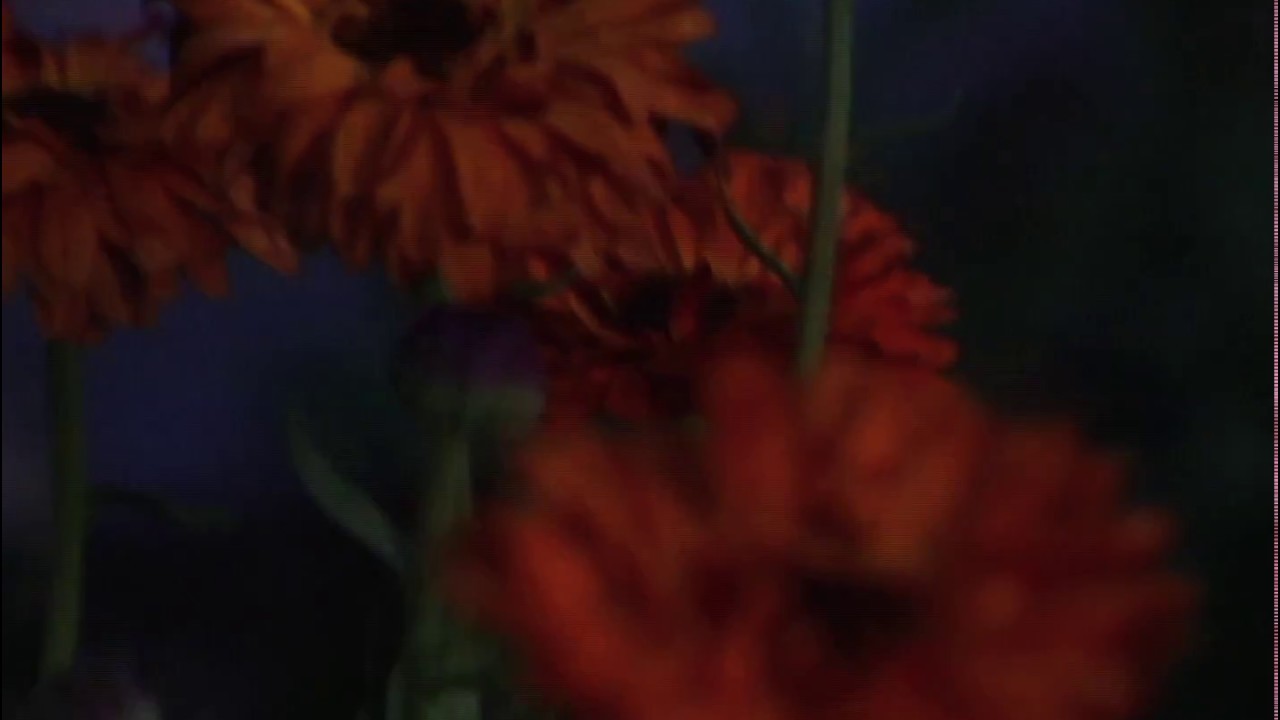 &Eacute;tudes N&deg;10 - D&eacute;connexion, a short film by Colin Snapp