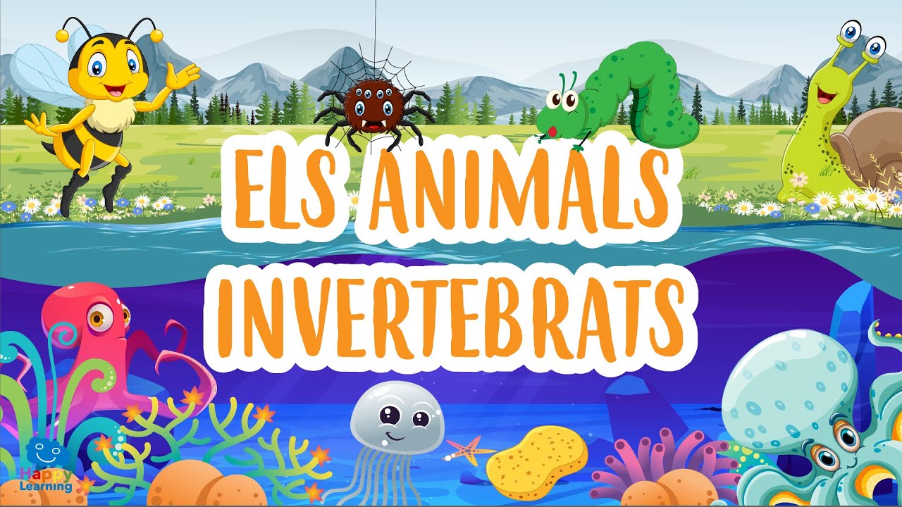 Els animals invertebrats | Vídeos educatius per a nens en llengua catalana