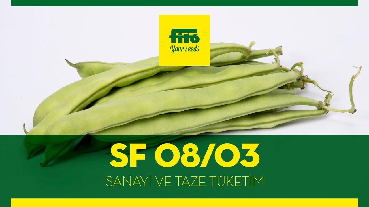SF 08/03 - Sanayi ve taze tüketim...
