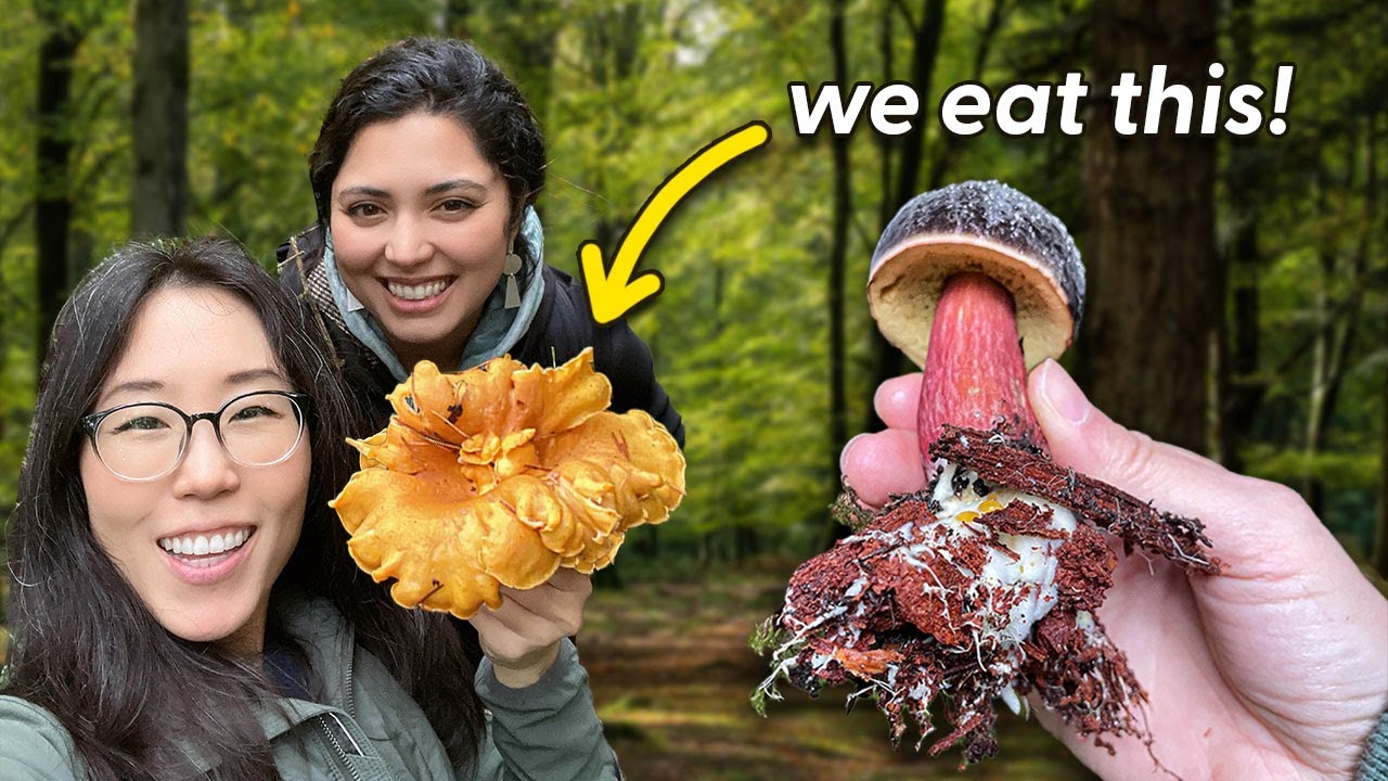 Foraging Wild Mushrooms 🍄 The BIGGEST Chanterelle We've Ever Seen!