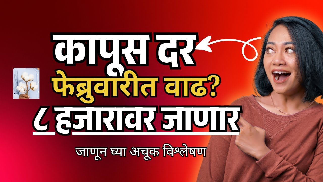 Kapus bhav today | फेब्रुवारीत कापूस बाजार भाव ८ हजारावर जाणार?