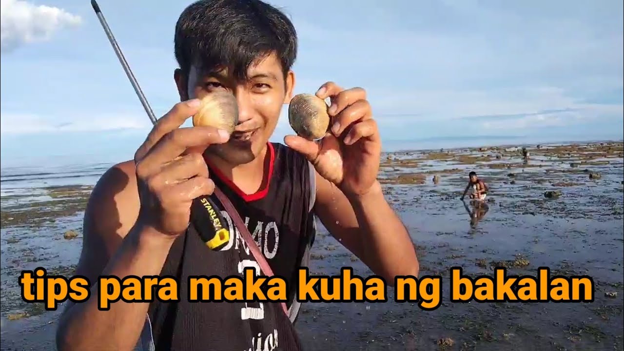 CATCHING BAKALAN SHELL vlog6
