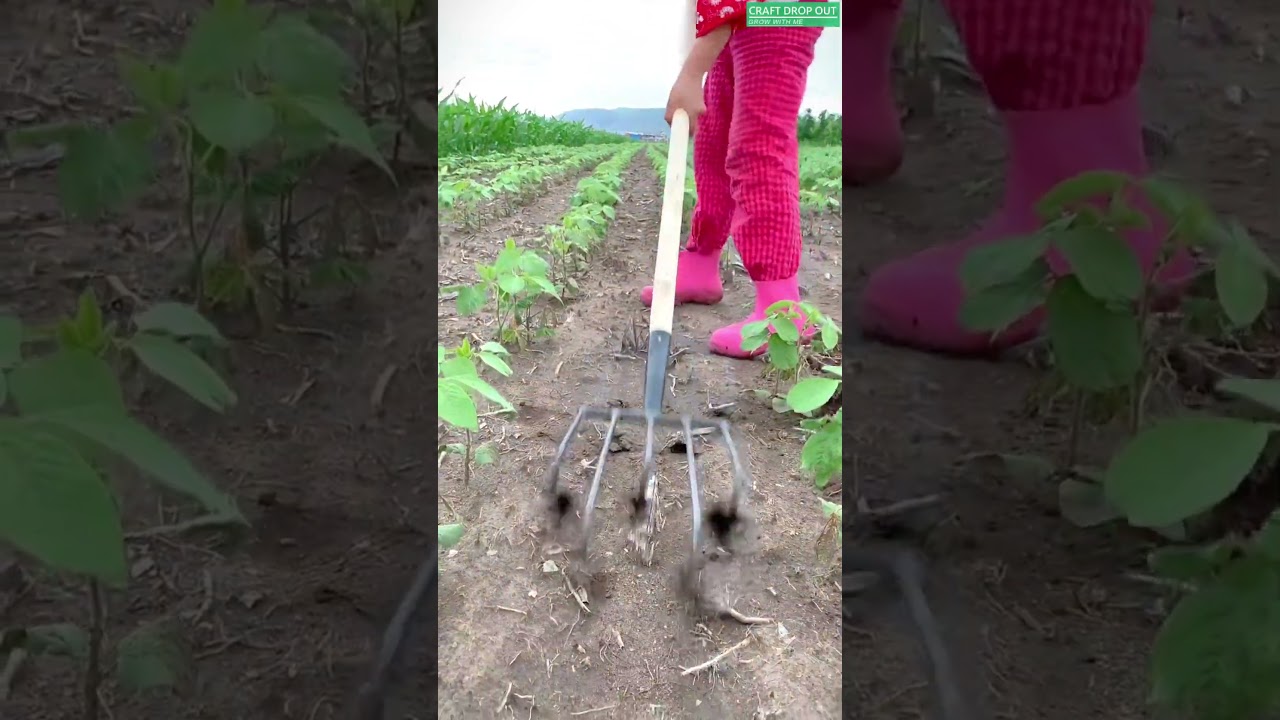🌱🛠️ Five-Point Rotary Row Cultivator for Breaking Soil Between Crop Rows