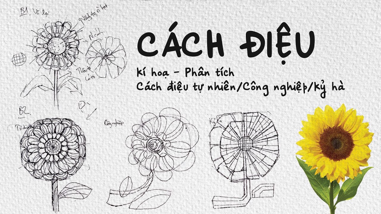 CẤP TỐC| Hướng dẫn CÁCH ĐIỆU một đối tượng trong bài trang trí màu | Luyện thi năng khiếu