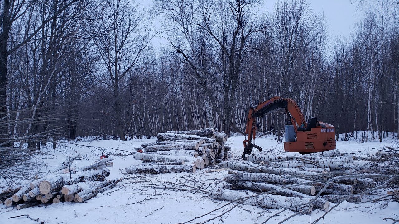 Excavator Working on The Log Landing