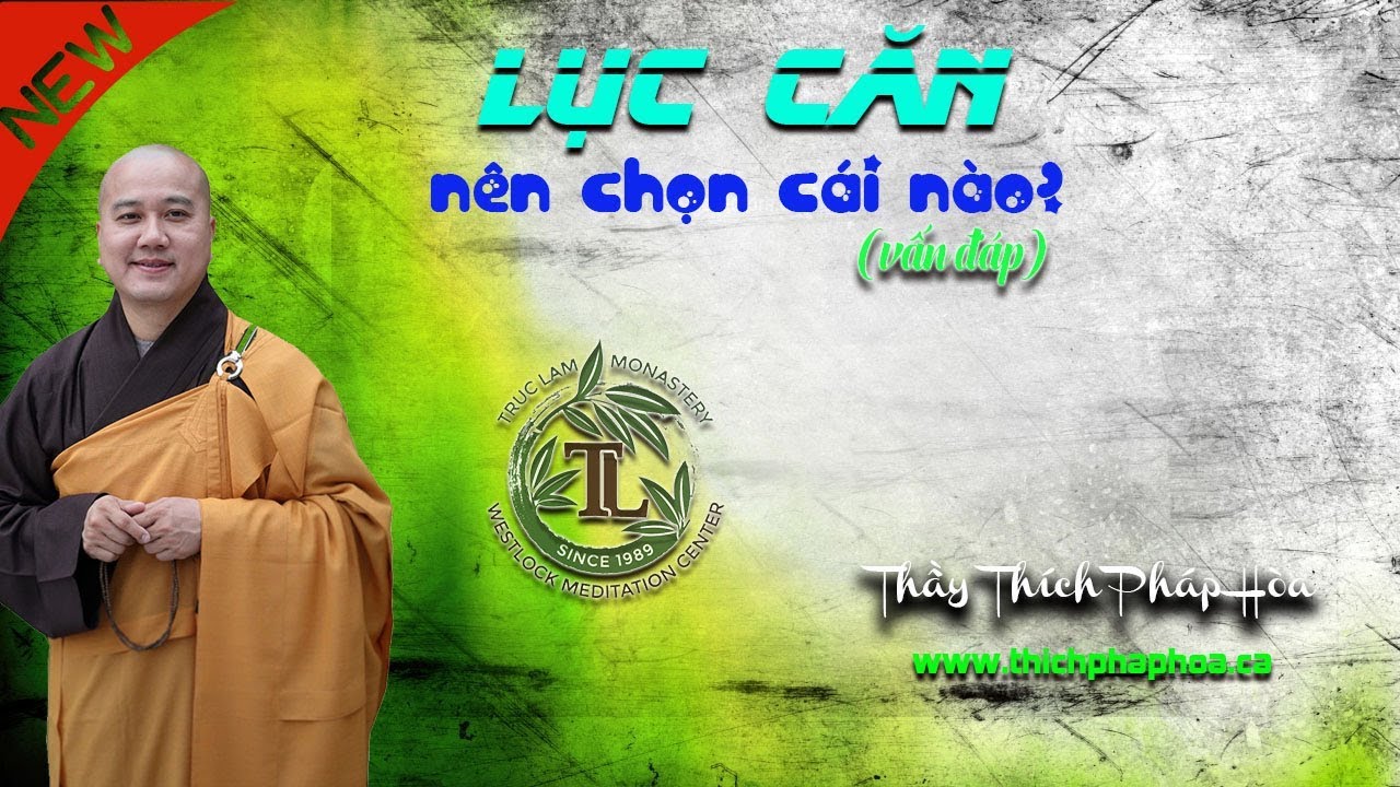 Lục Căn - Nên chọn cái nào? (vấn đáp) - Thầy Thích Pháp Hòa