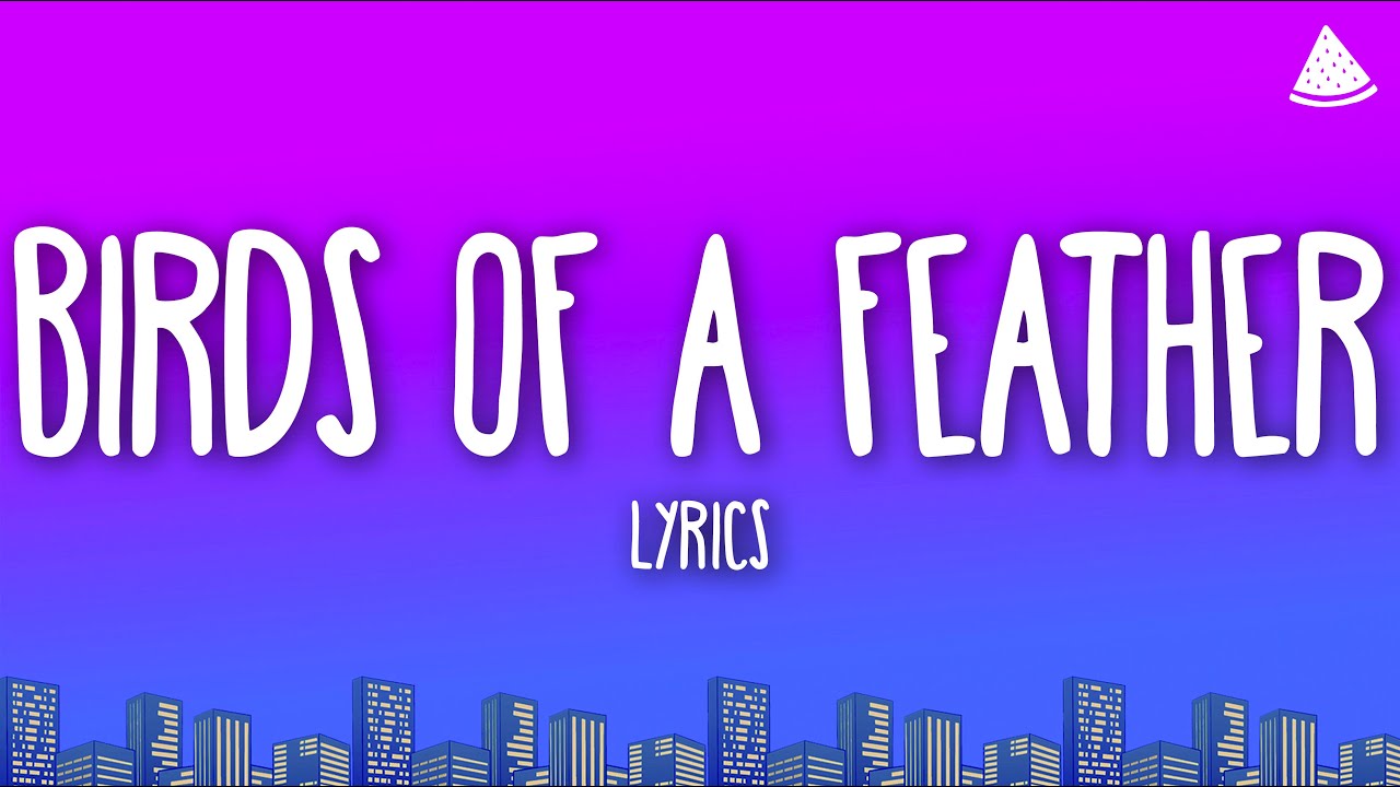 Billie Eilish - BIRDS OF A FEATHER (Lyrics)