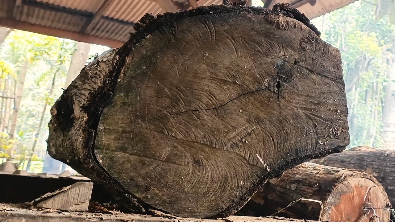 Transform weathered looking trees into stunning sheets of wood at the Sawmill..!
