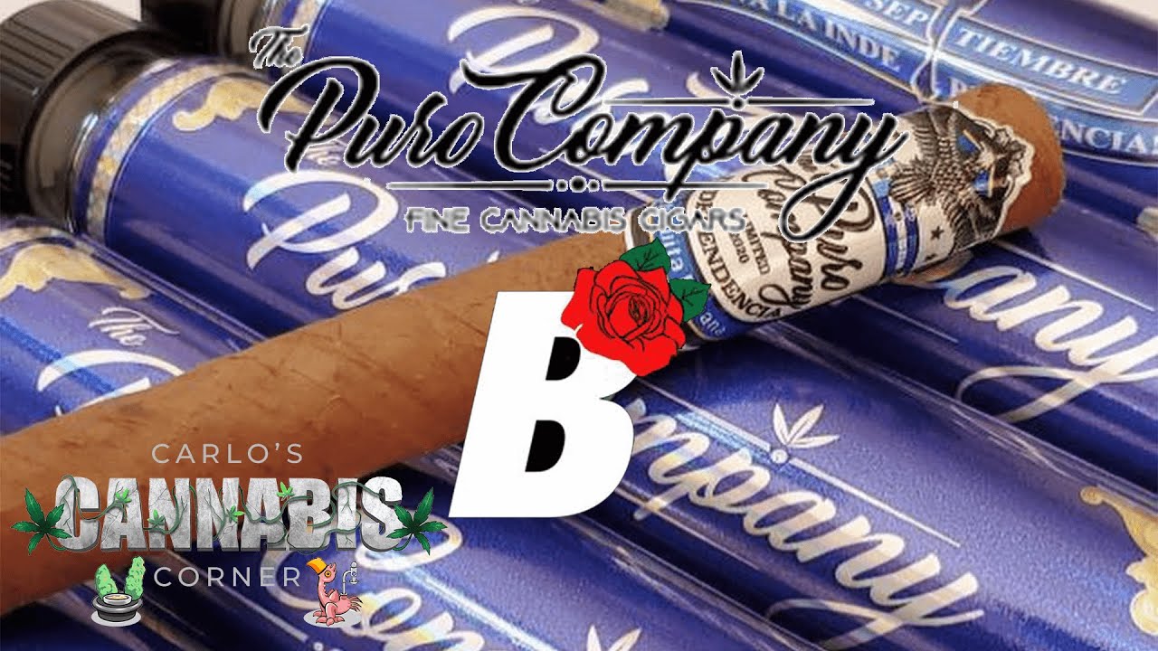 CCC.61 Puro Company X Blackleaf Black Runtz Notwood Review