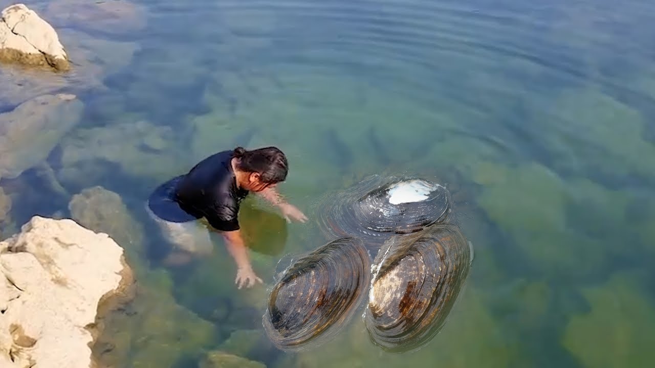 Pearl Hunter opens clams to retrieve top tier pearls
