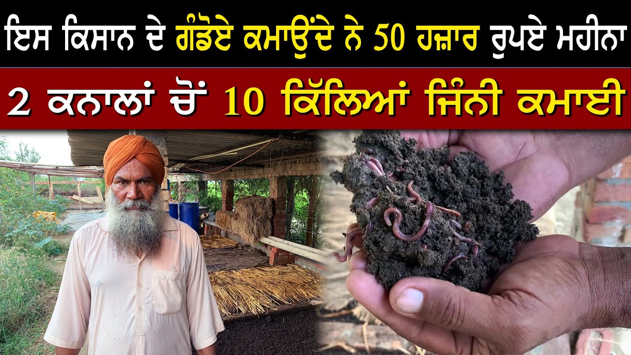 ਗੰਡੋਇਆਂ ਨੇ ਇਸ ਕਿਸਾਨ ਨੂੰ ਕੀਤਾ ਮਾਲੋ-ਮਾਲ