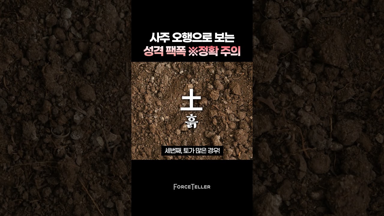 사주 오행으로  보는 성격 팩폭