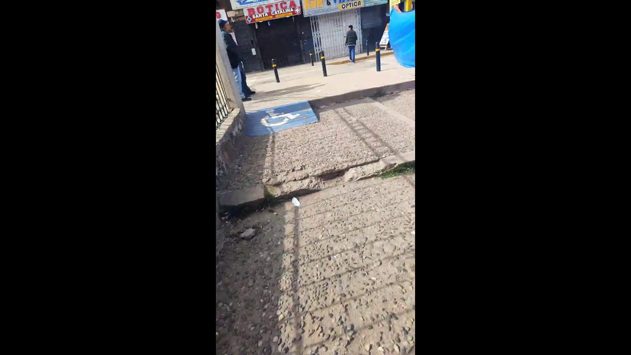 Encontré palomas 