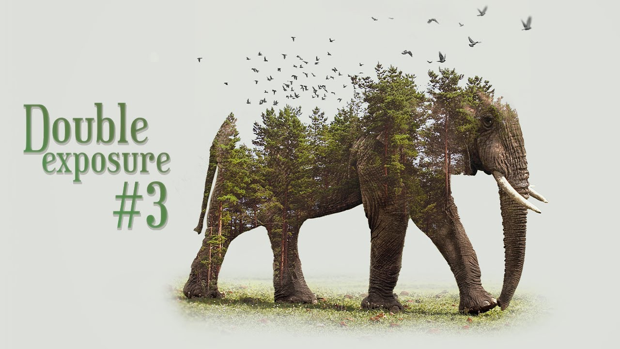 Эффект двойной экспозиции 3 — урок по Photoshop