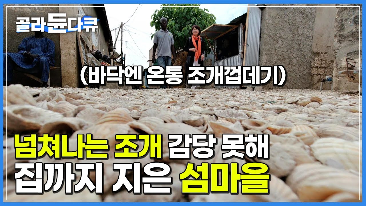 벽부터 바닥까지 온통 조개껍데기로 덮인 섬│넘쳐나는 조개 감당 못해 집까지 조개로 지어버린 마을│바다 위 조개의 땅 아프리카 세네갈 파디우트 섬│세계테마기행│#골라듄다큐