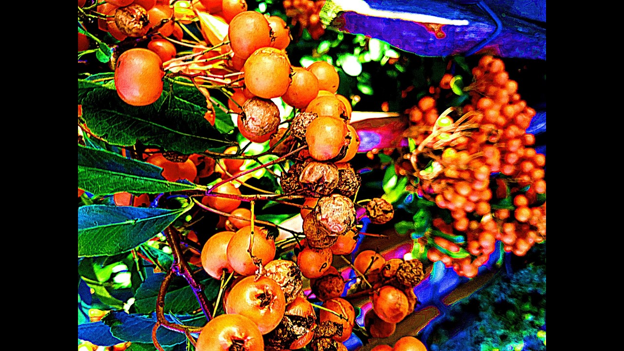 Colourful and Shiny