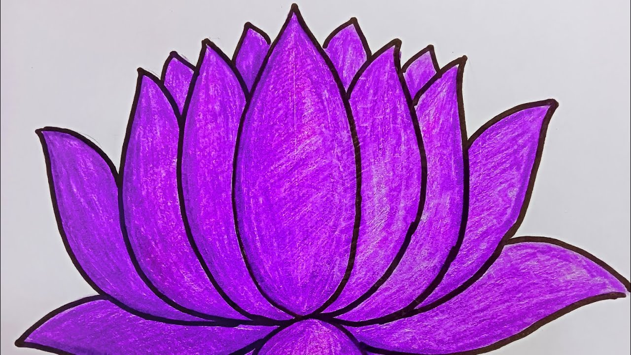 How to Draw a Lotus Flower | পদ্ম ফুল আঁকার সহজ পদ্ধতি 🪷💜