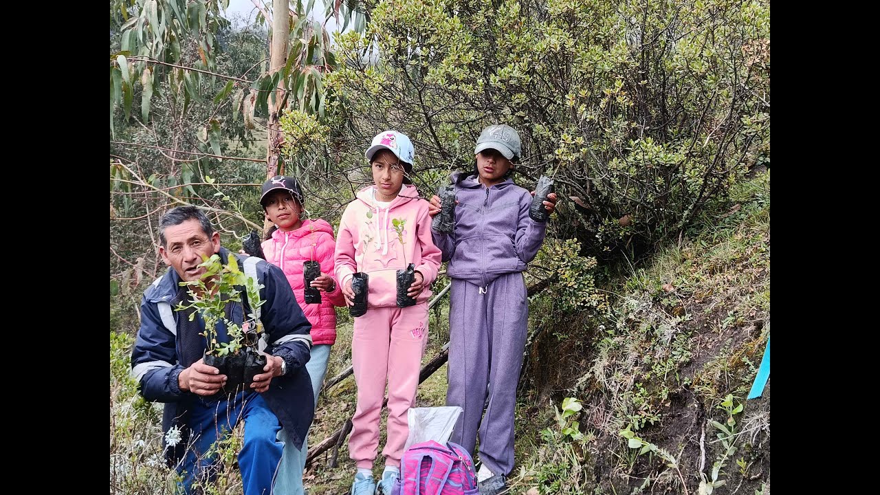PLANTACIÓN DE EUCALIPTOS 2026