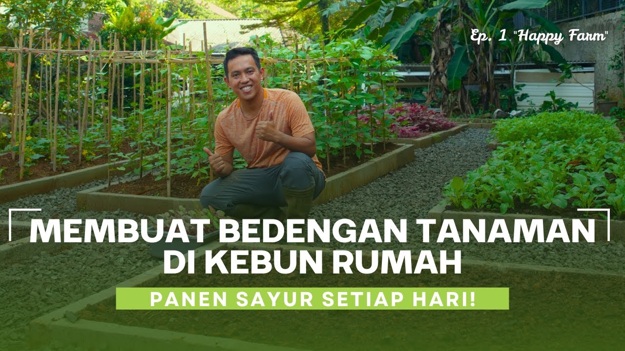 Cara Memilih Bedengan Tanaman Yang Cocok Untuk Berkebun di Rumah