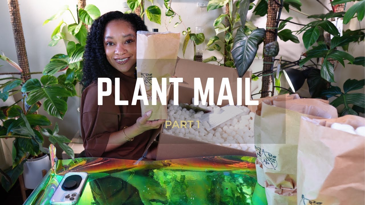 Plant Mail| Open Plant Mail with Me 🪴📦| Part 1