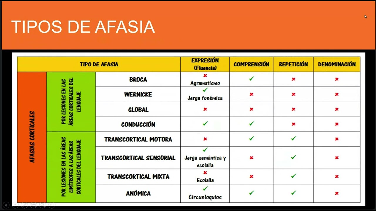 AFASIAS Y DISFASIAS