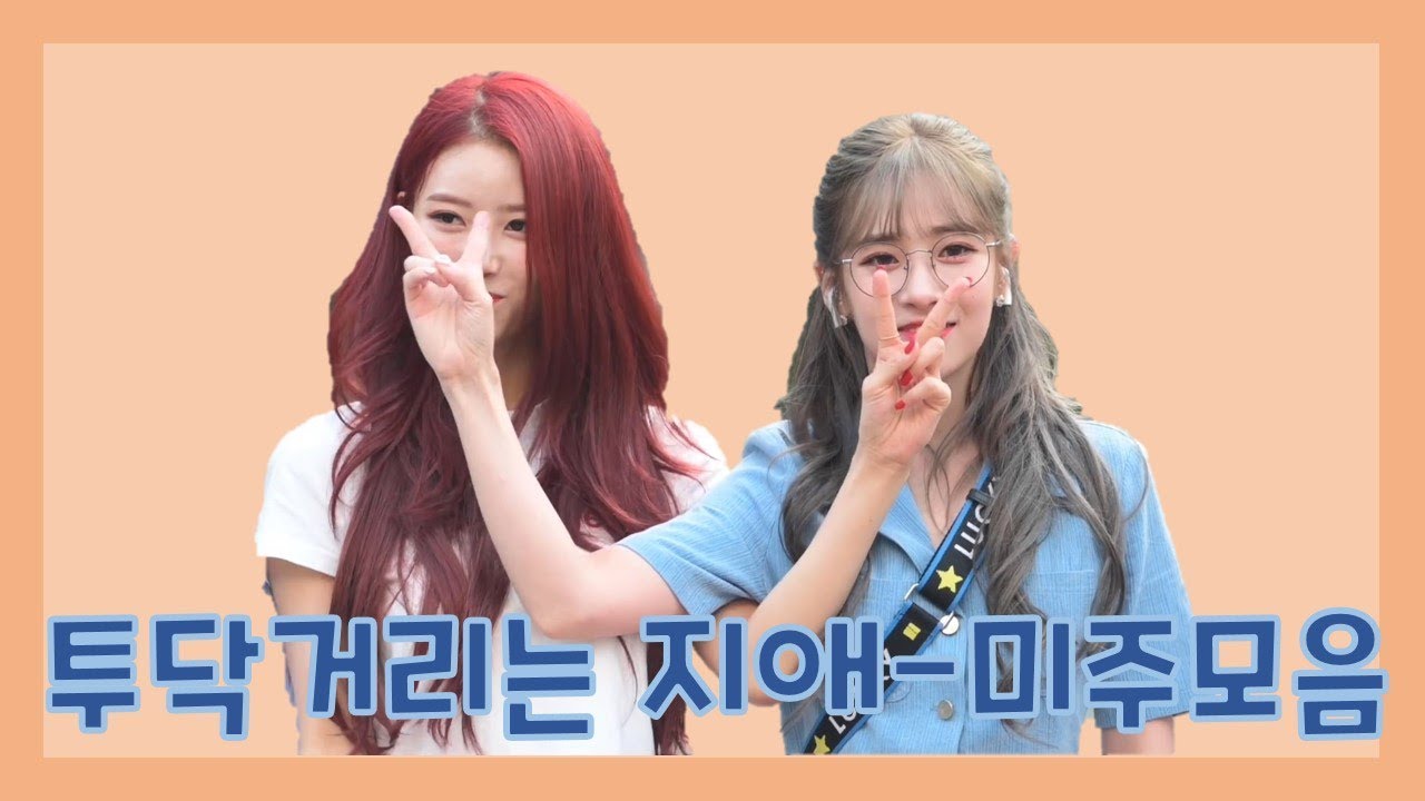 투닥거리는 러블리즈 지애 미주 모음