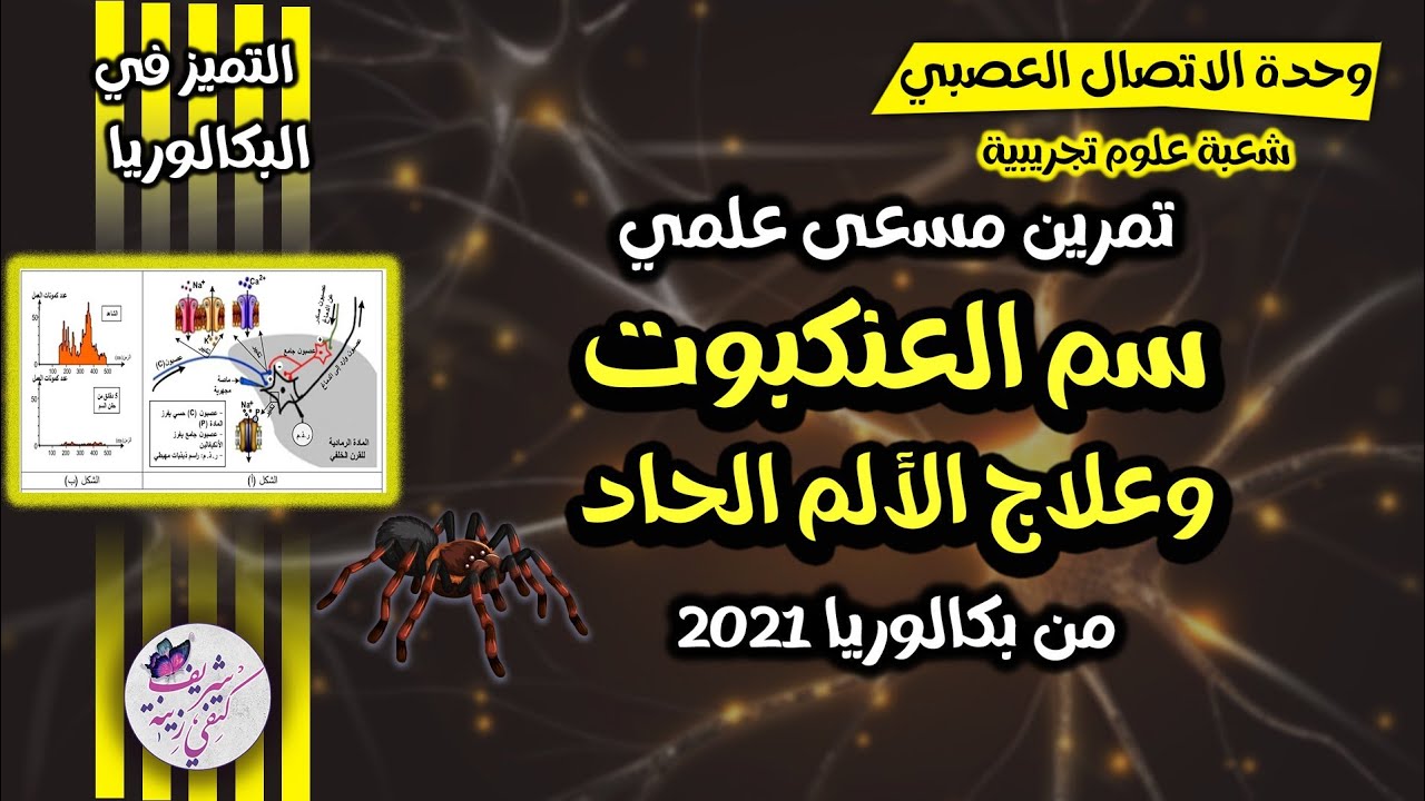 تمرين مسعى علمي حول سم العنكبوت من باك2021 |مراجعة شاملة للاتصال العصبي