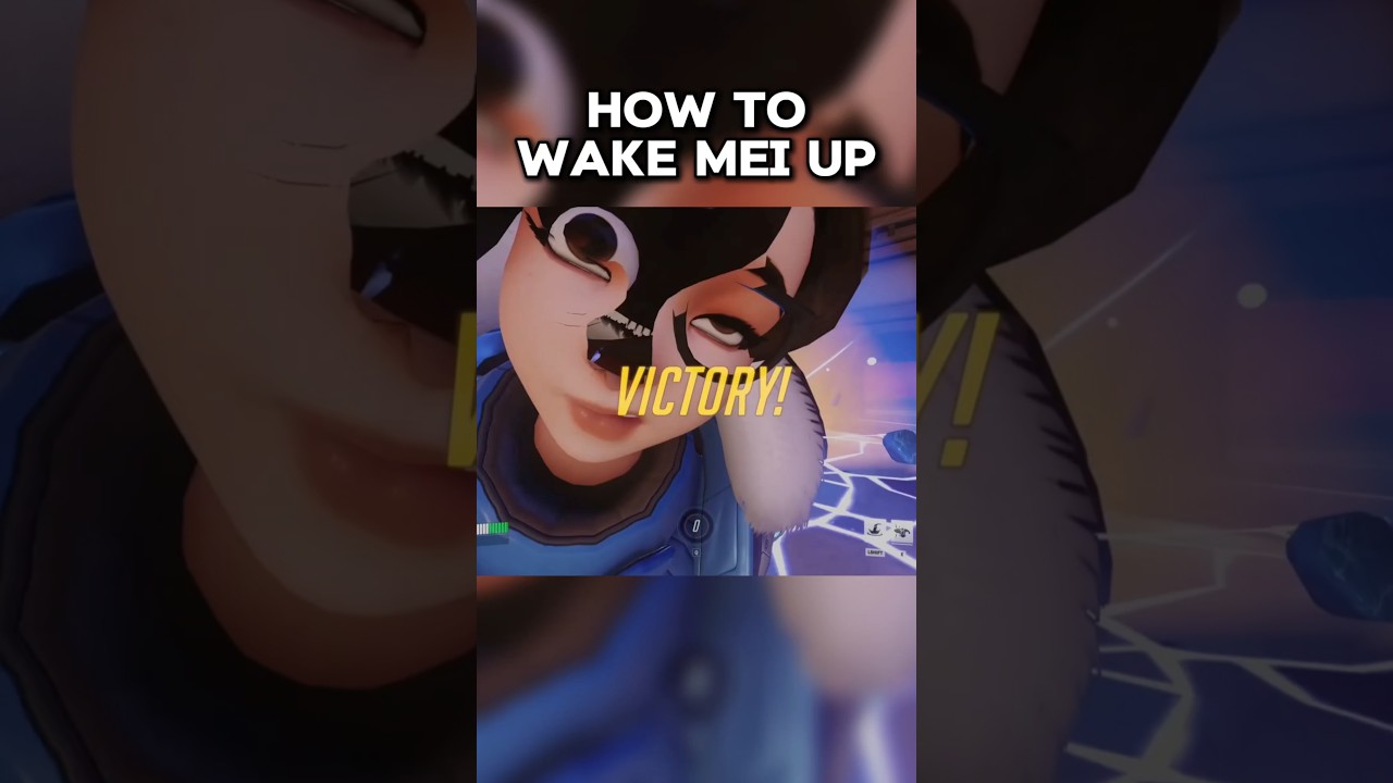 HOW TO WAKE MEI UP