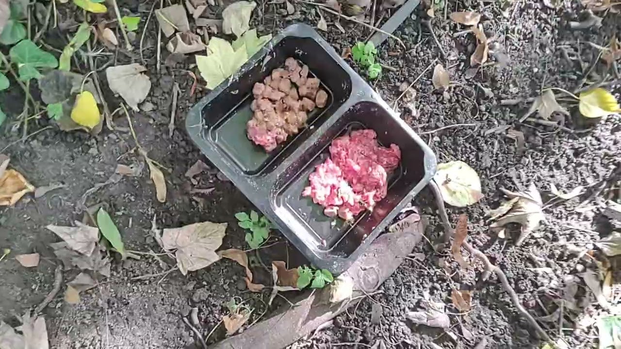 Haul zakupowy ze sklepu Lidl.