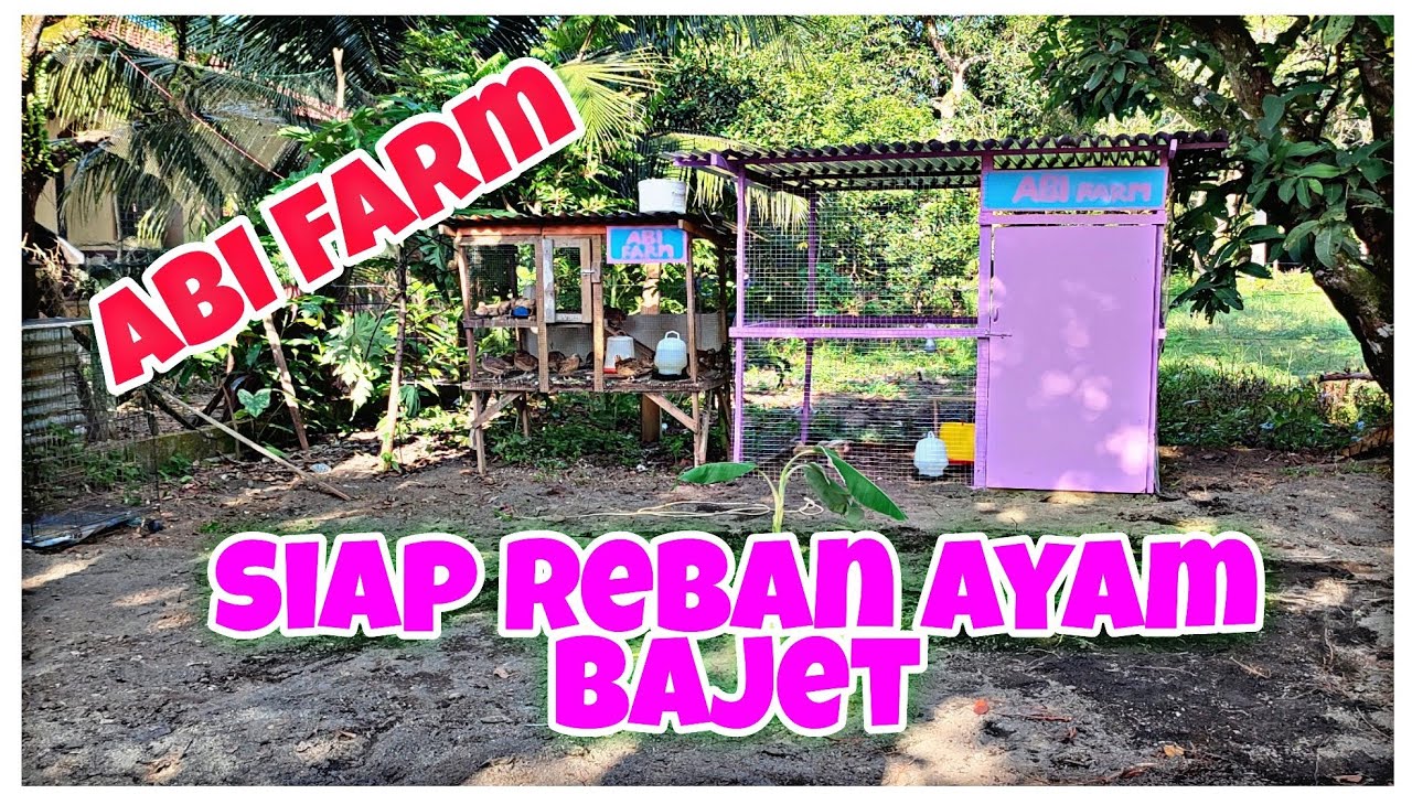 EPISOD 304 - Buat Reban Ayam Kos Murah dan Cantik