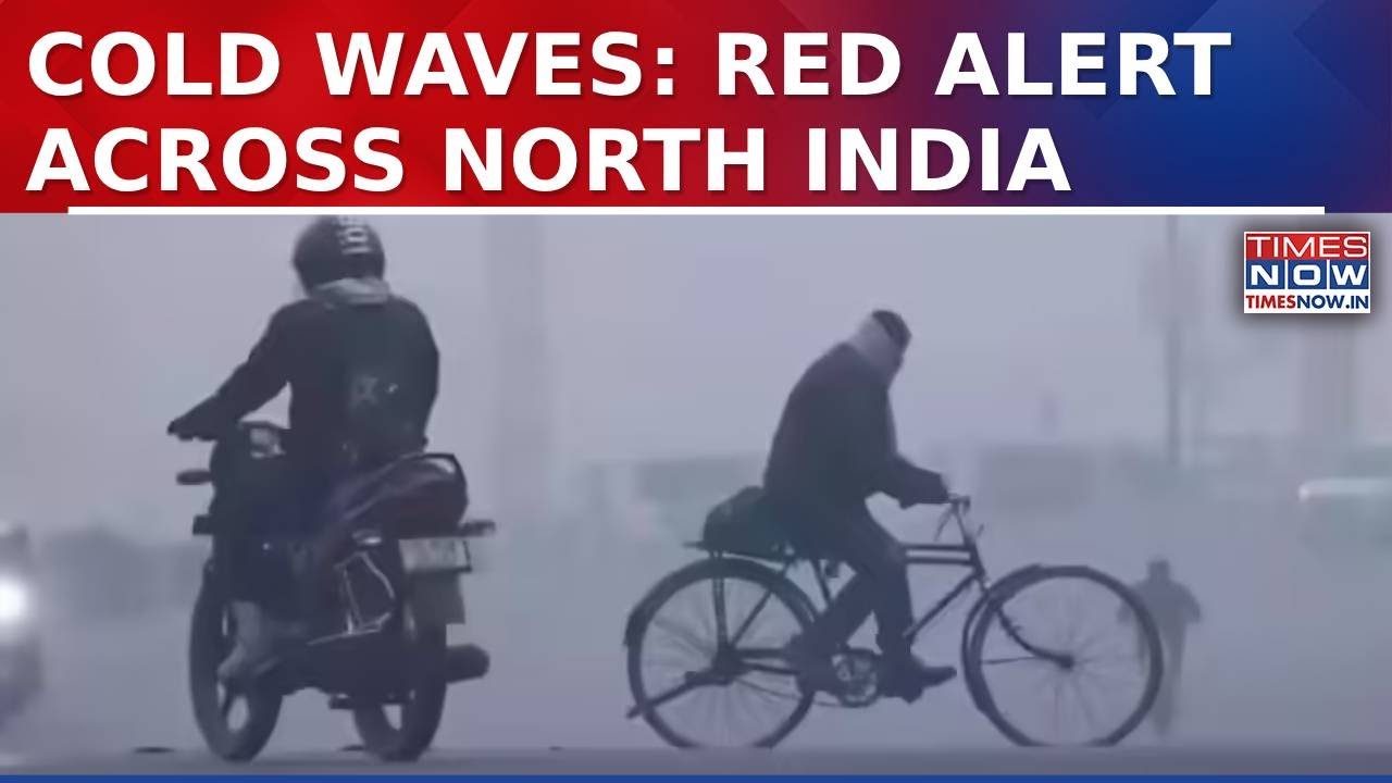 Cold Wave Tightens Grip On Delhi, Haryana And Punjab | Red Alert Issued