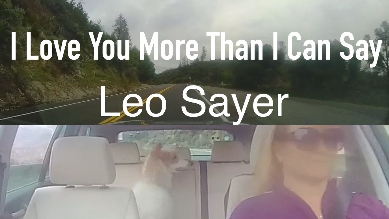 I Love You More Than I Can Say by Leo Sayer with lyrics