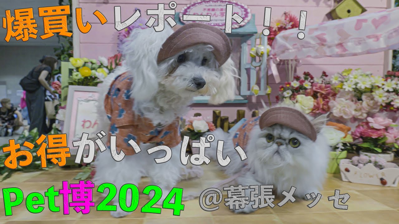 【爆買い🛍️】ペット博2024＠幕張メッセ🐩🐈はたくさんのお得で溢れてました🉐