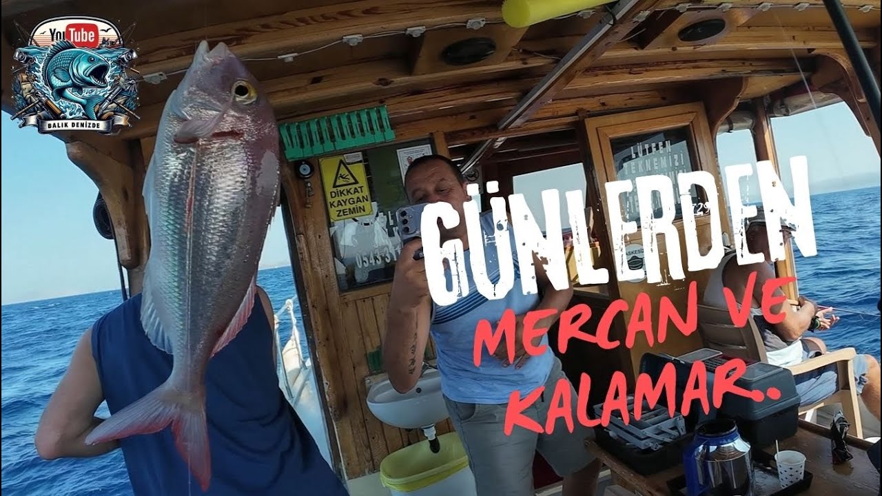 ILDIR'DA MERCANLAR VE KALAMARLARIN İÇİNDEN GEÇTİK, BOL BALIKLI BOL AKSİYONLU BİR AV GÜNÜ. 07.09.2024