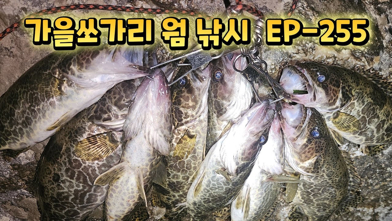 가을철 웜낚시 팁 EP-255