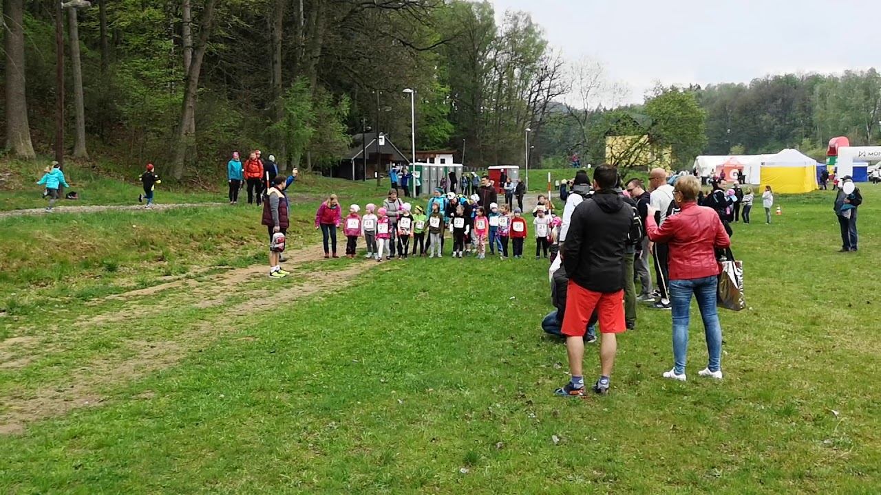 Ellenka zavod Brniste 2018