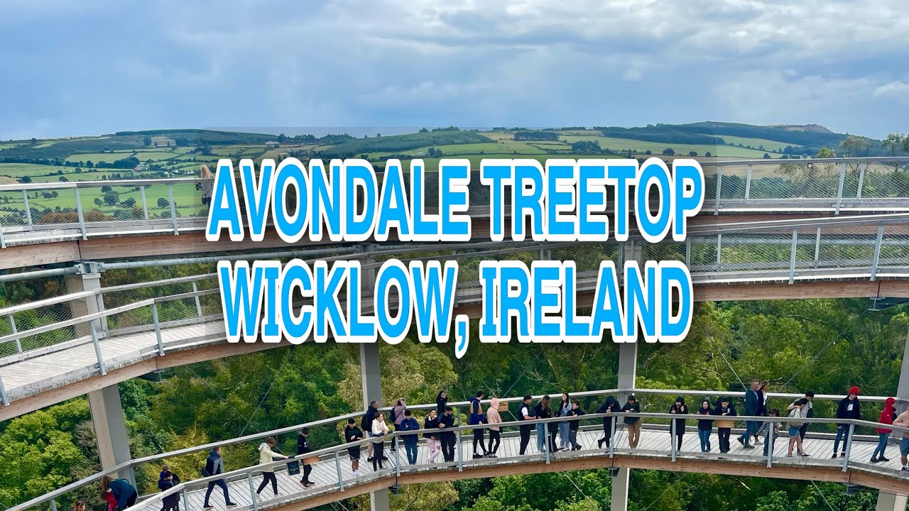 Avondale Treetop Walk | Beyond The Trees | Wicklow, Ireland