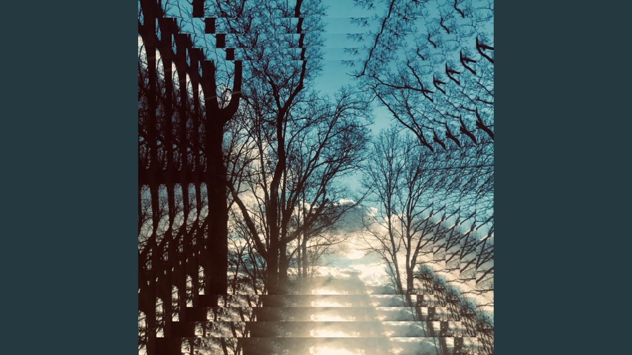 Hammock