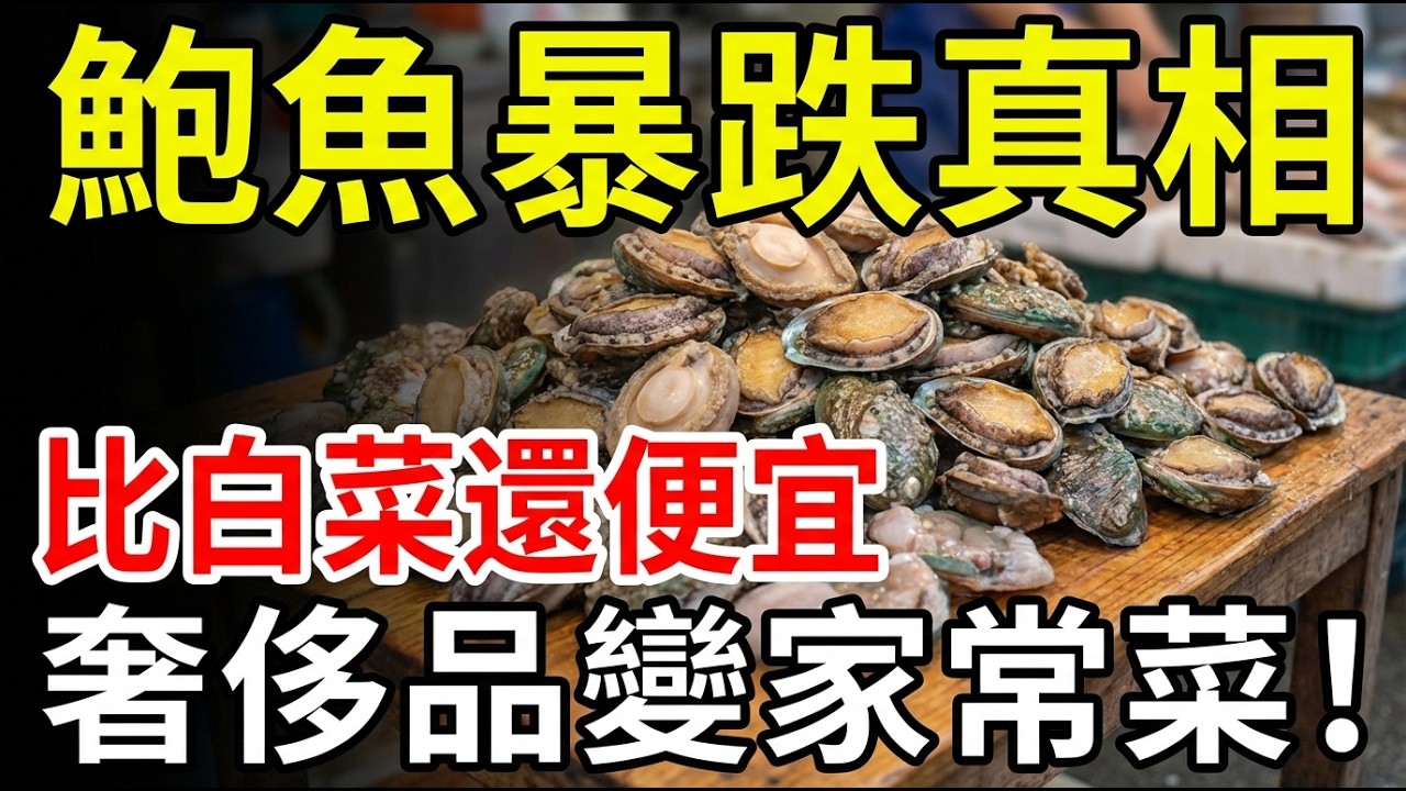 從一口千金到2.2元一隻：誰讓天價鮑魚跌成平價海鮮？