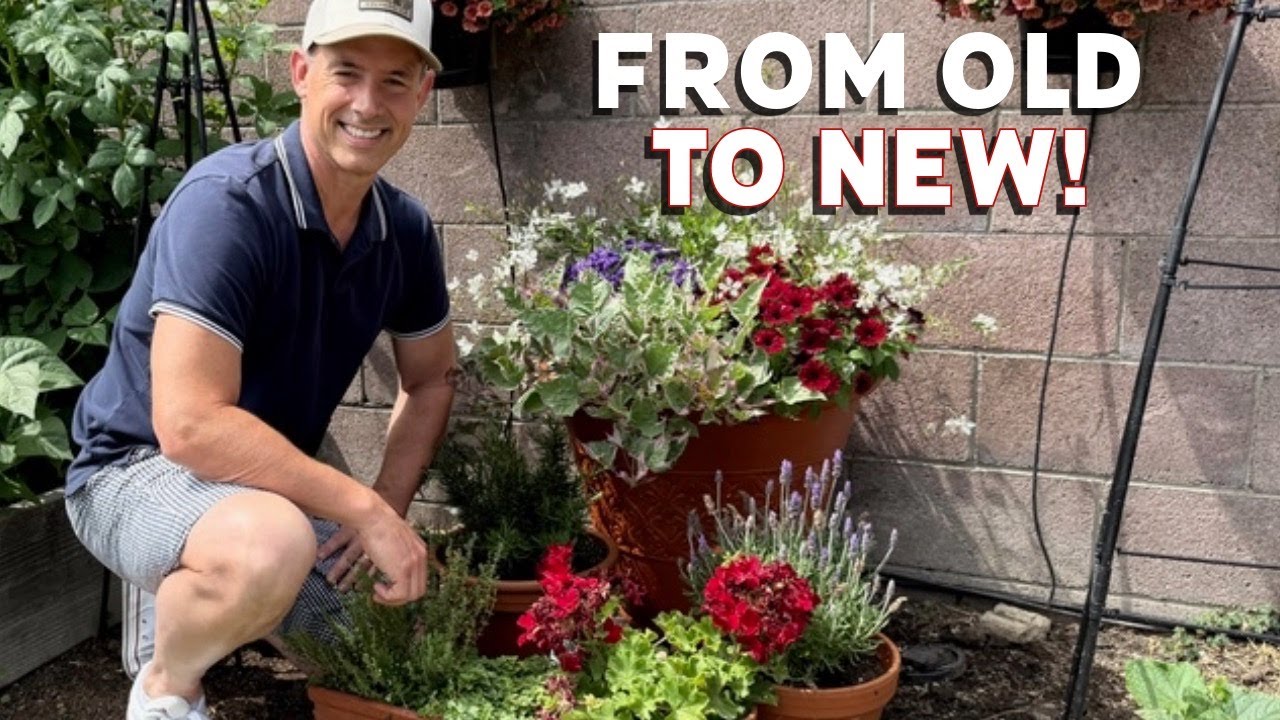 Upcycling with Style: Terracotta Garden Feature | Gardening with the Williamses