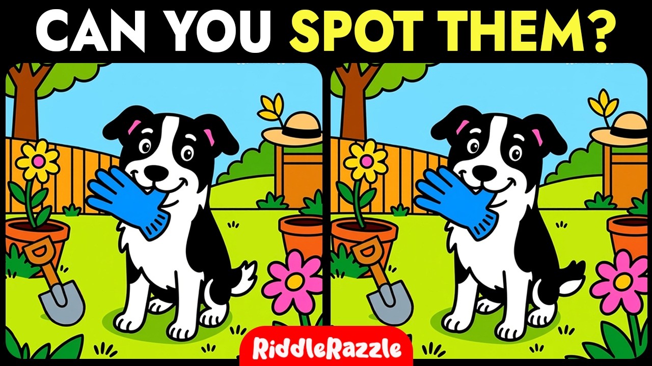 Brain Focus Training | Can You Find All 3 Differences?