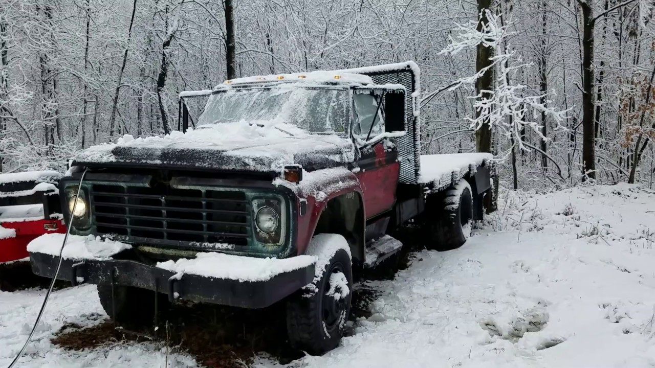 1979 Ford F600 4x4 cold start & walk around