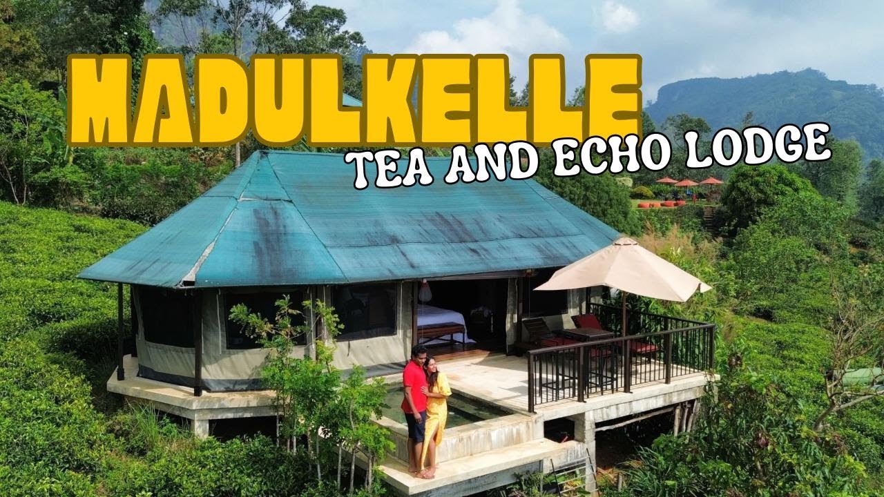 තේ වත්තක් මැද හැංගුනු ලස්සනම hotel එකක් / Madulkelle Tea and Echo Lodge /  Honeymoon hotel Sri Lanka