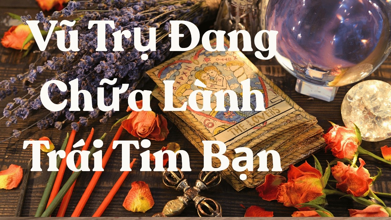 Những Vết Thương Nào Đang Dần Biến Mất?